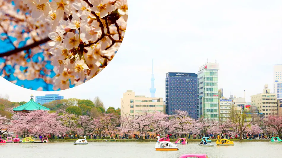 APA Hotel <Keisei Ueno Ekimae>