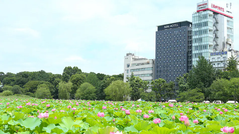 APA Hotel <Keisei Ueno Ekimae>