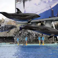 名古屋港水族館1