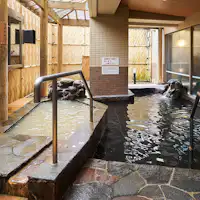 น้ำพุร้อนธรรมชาติ Hakodate Omori no Yu