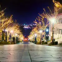 ฤดูหนาว: ทางลาดฮาจิมังในเดือนธันวาคม