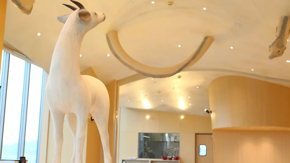 KOKO HOTEL Kanazawa Station