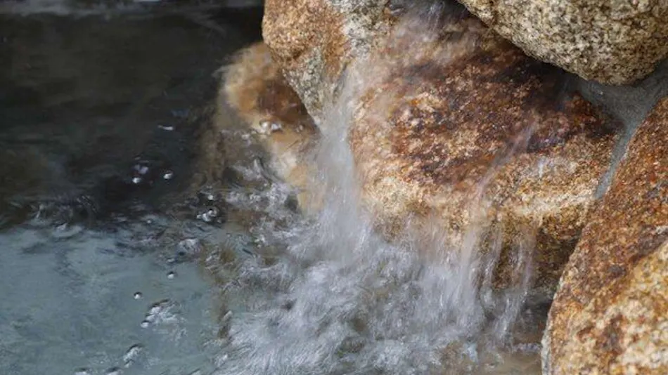 Natural Hot Spring Shiraito no Yu Dormy Inn Oita