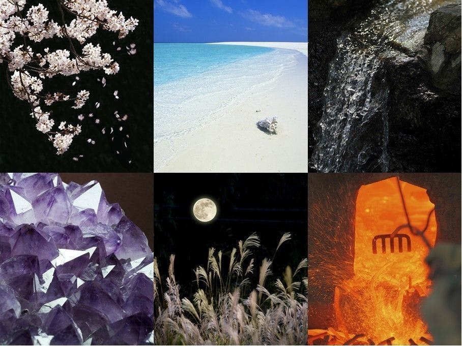 [Element of Nature & Chic Oasis]