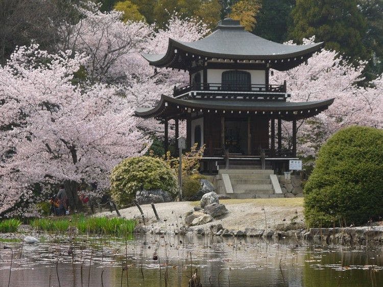 京都山科　ホテル山楽