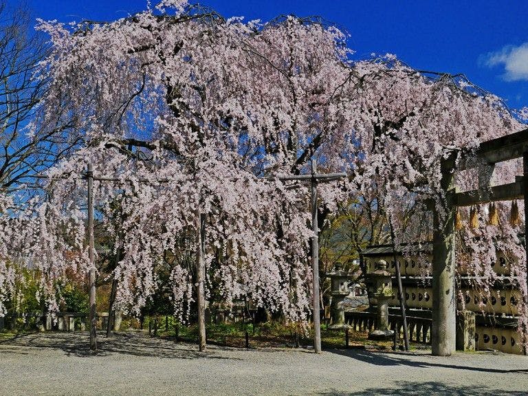 京都山科　ホテル山楽