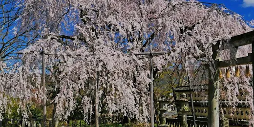 京都山科 ホテル山楽