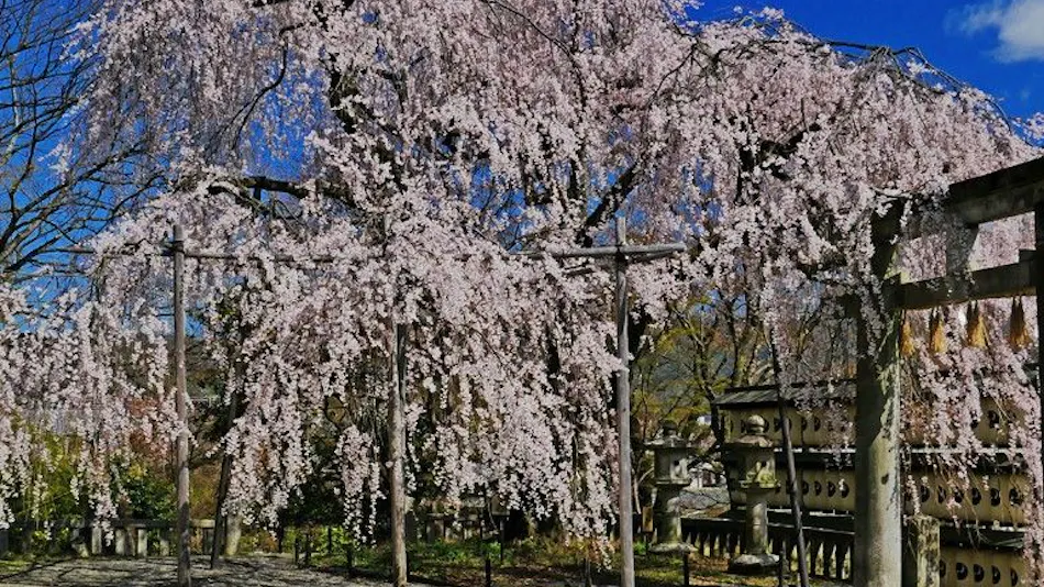 Kyoto Yamashina Hotel Sanraku