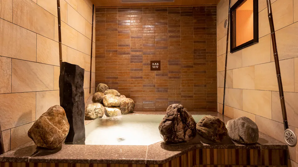 Natural Hot Spring Koume no Yu Dormy Inn Mito