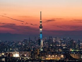 ヴィアイン秋葉原