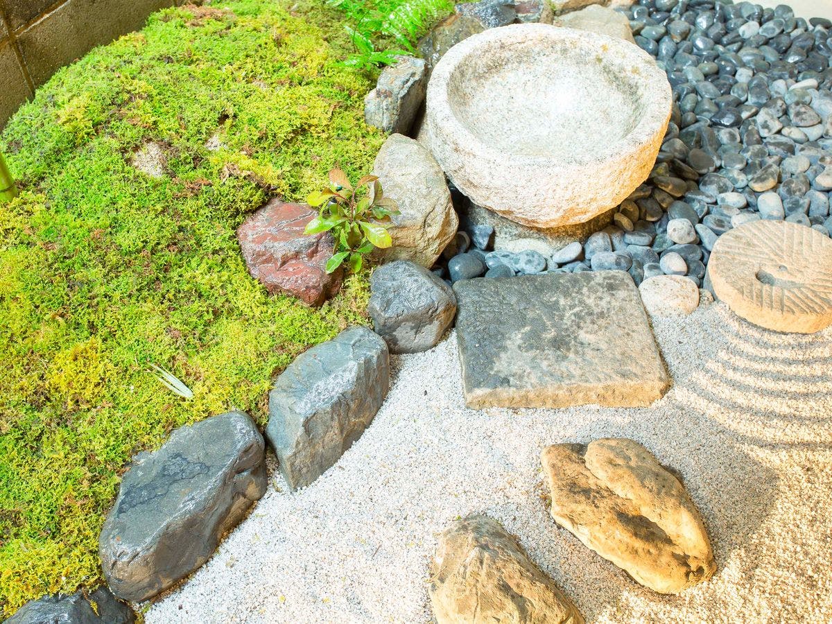 枳殻の杜（Kikoku no mori）