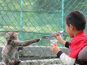 天然温泉スーパーホテルＰｒｅｍｉｅｒ阿蘇熊本空港