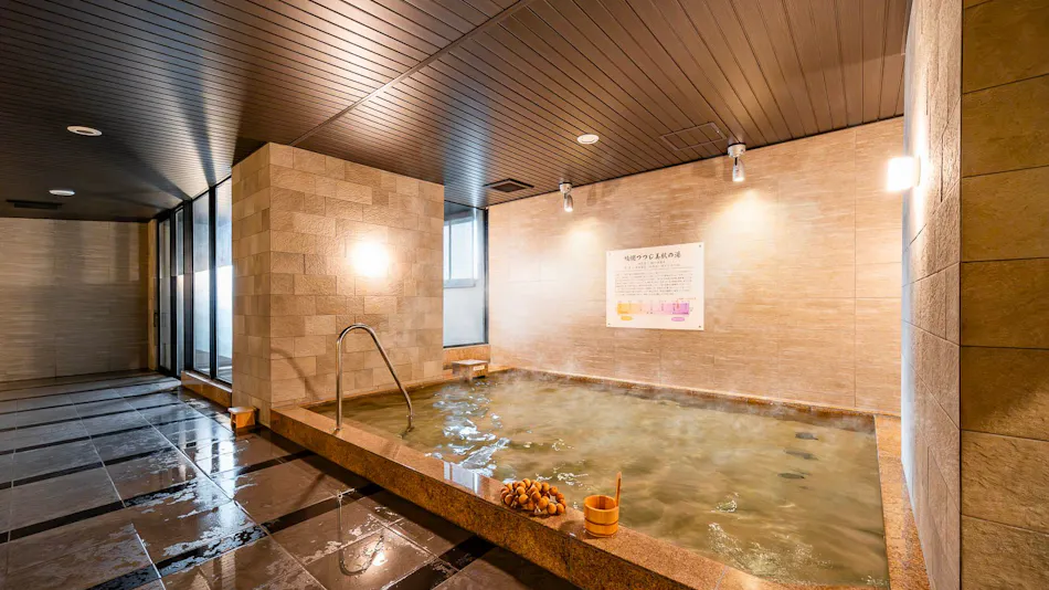 Super Hotel Premier Aso Kumamoto Airport