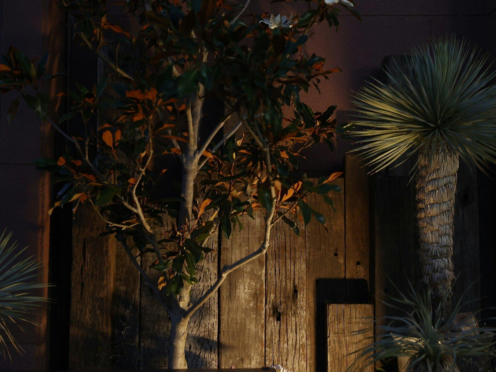 MONOMINA HOTEL stn.1