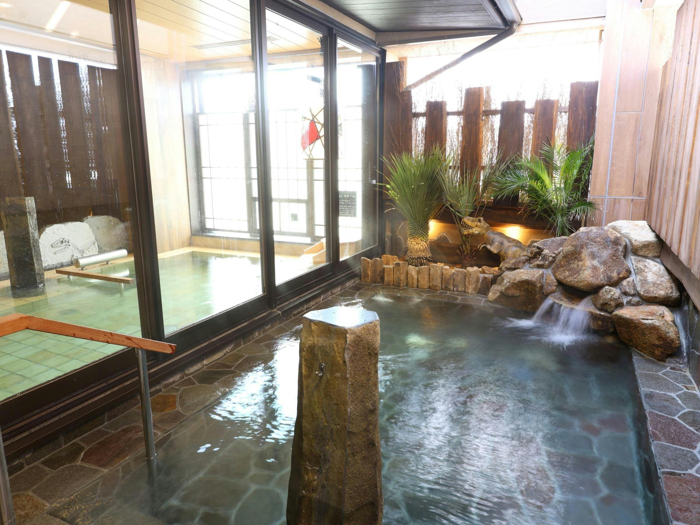 天然温泉 越前の湯 御宿 野乃福井