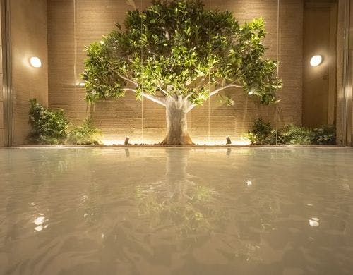 「阿蘇黒川の湯」女性大浴場