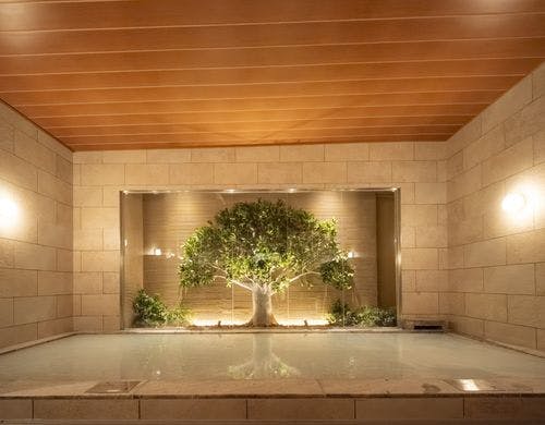 「阿蘇黒川の湯」女性大浴場