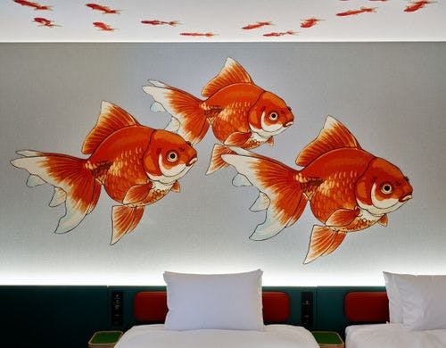 東京金魚スイートルーム