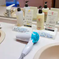 ห้องอาบน้ำสาธารณะมีไดร์เป่าผมและสิ่งอำนวยความสะดวกต่าง ๆ