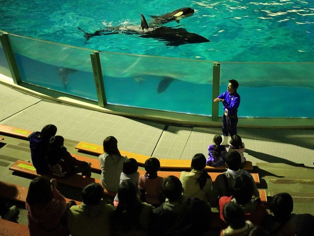 Kamogawa Sea World Hotel