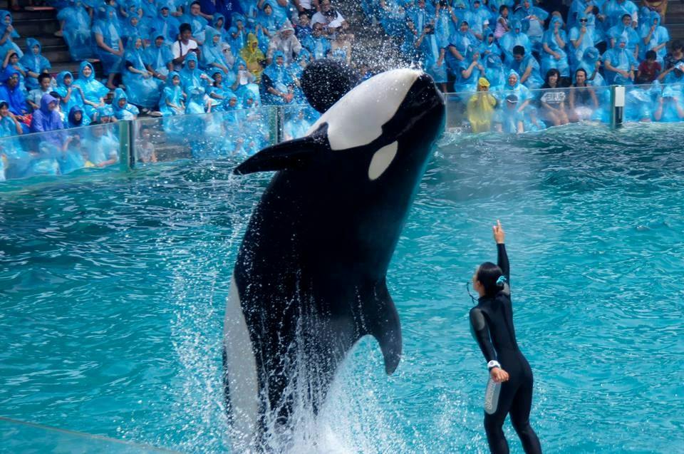 Kamogawa Sea World Hotel