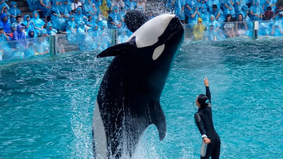 Kamogawa Sea World Hotel