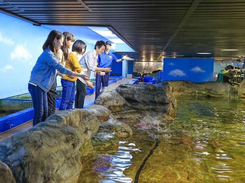 Kamogawa Sea World Hotel