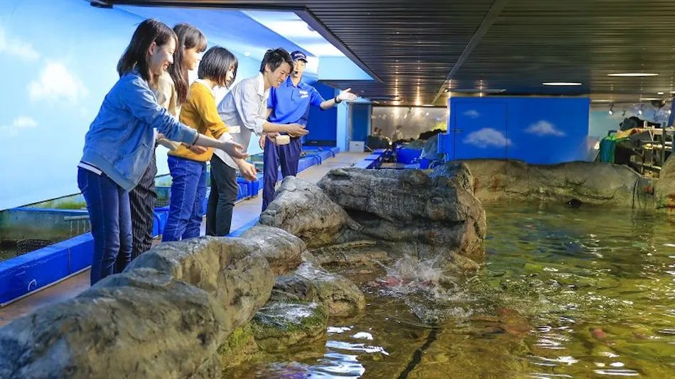 Kamogawa Sea World Hotel