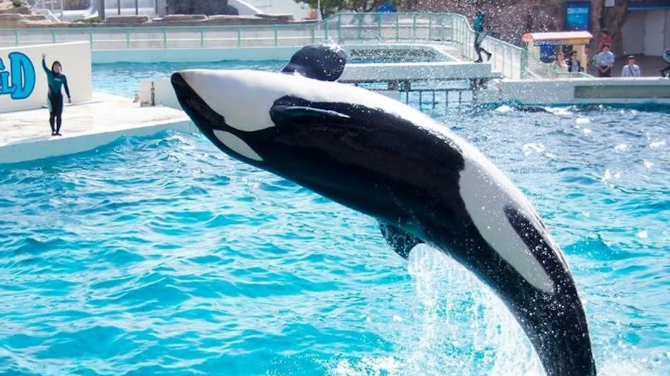 Kamogawa Sea World Hotel