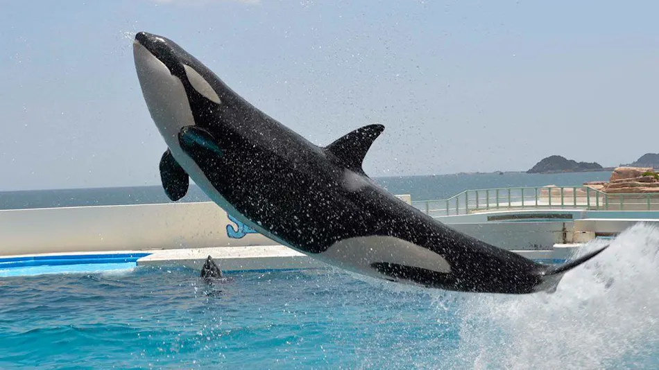 Kamogawa Sea World Hotel