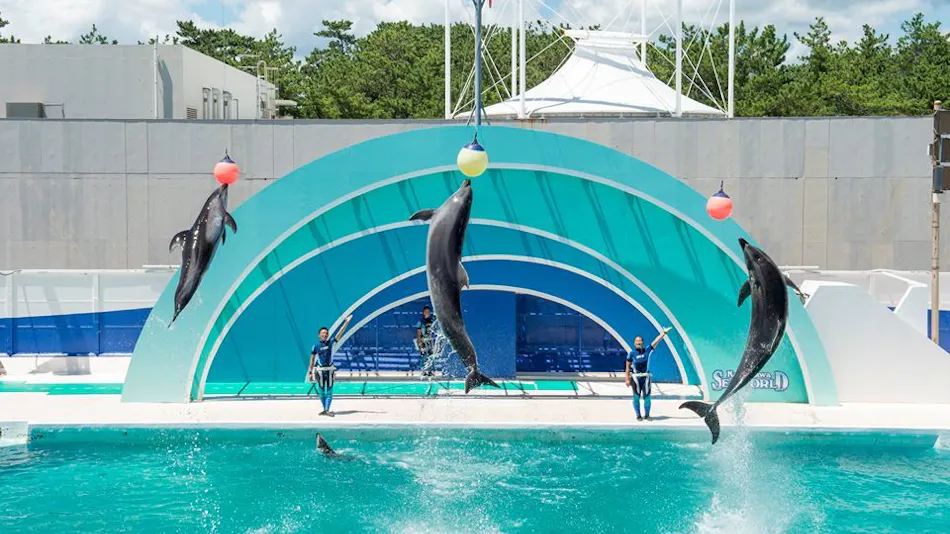 Kamogawa Sea World Hotel