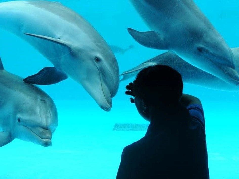 Kamogawa Sea World Hotel