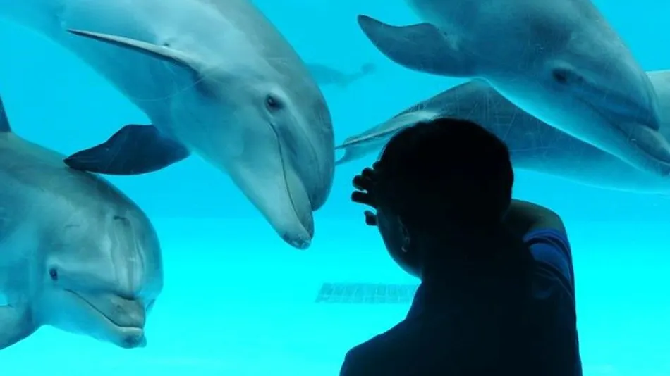Kamogawa Sea World Hotel