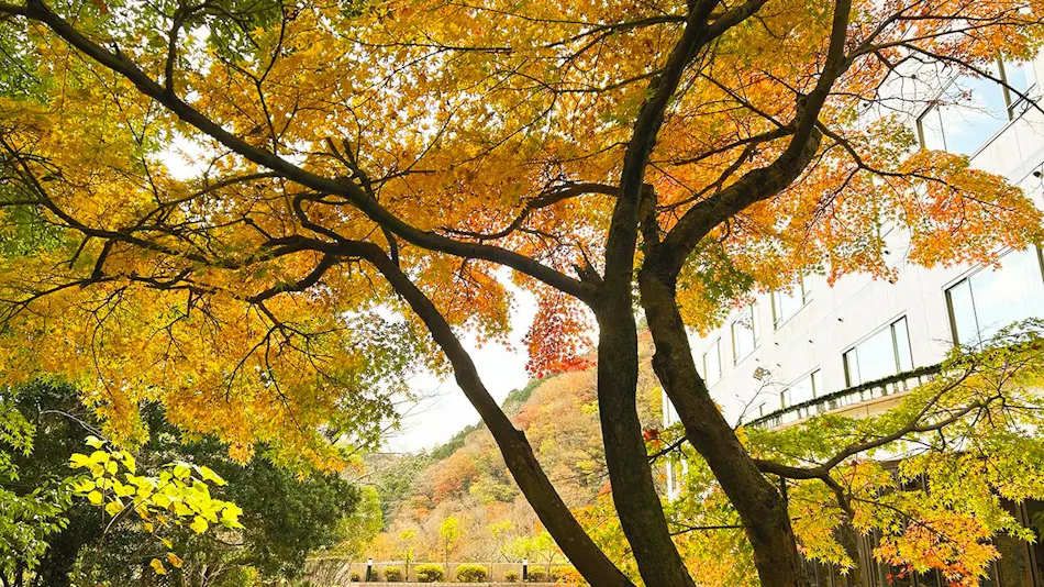 Shuzenji Onsen Hotel Takitei