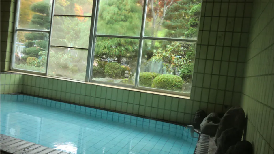 Onsen Minshuku Sakaeya
