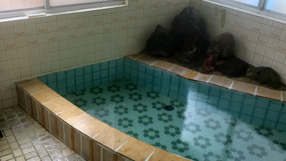 Onsen Minshuku Sakaeya