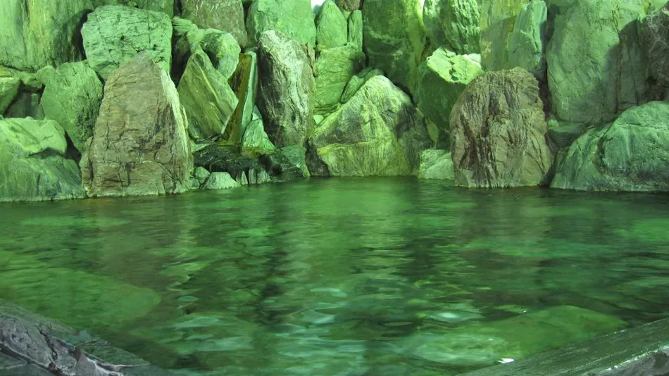 Awara Onsen Seiryukaku