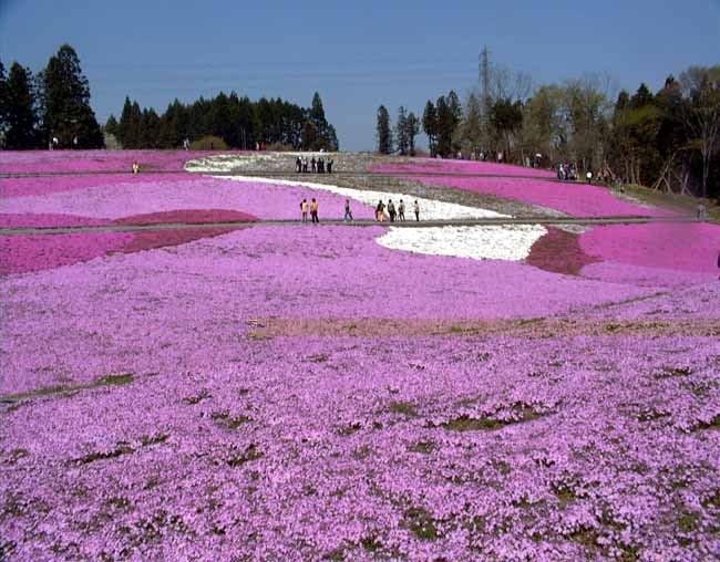Natural Farm City Noen Hotel <Overlooking the Streets of Chichibu>