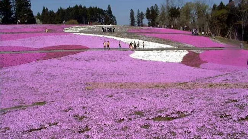 Natural Farm City Noen Hotel <Overlooking the Streets of Chichibu>