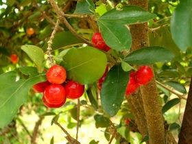 本部グリーンパークホテル