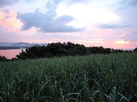 本部グリーンパークホテル