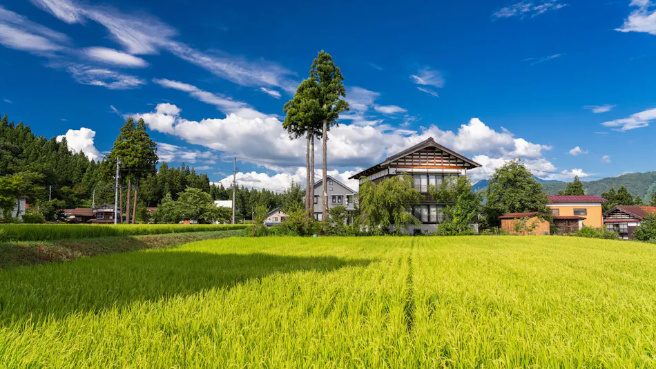 Shunsai no Sho Sakadojo