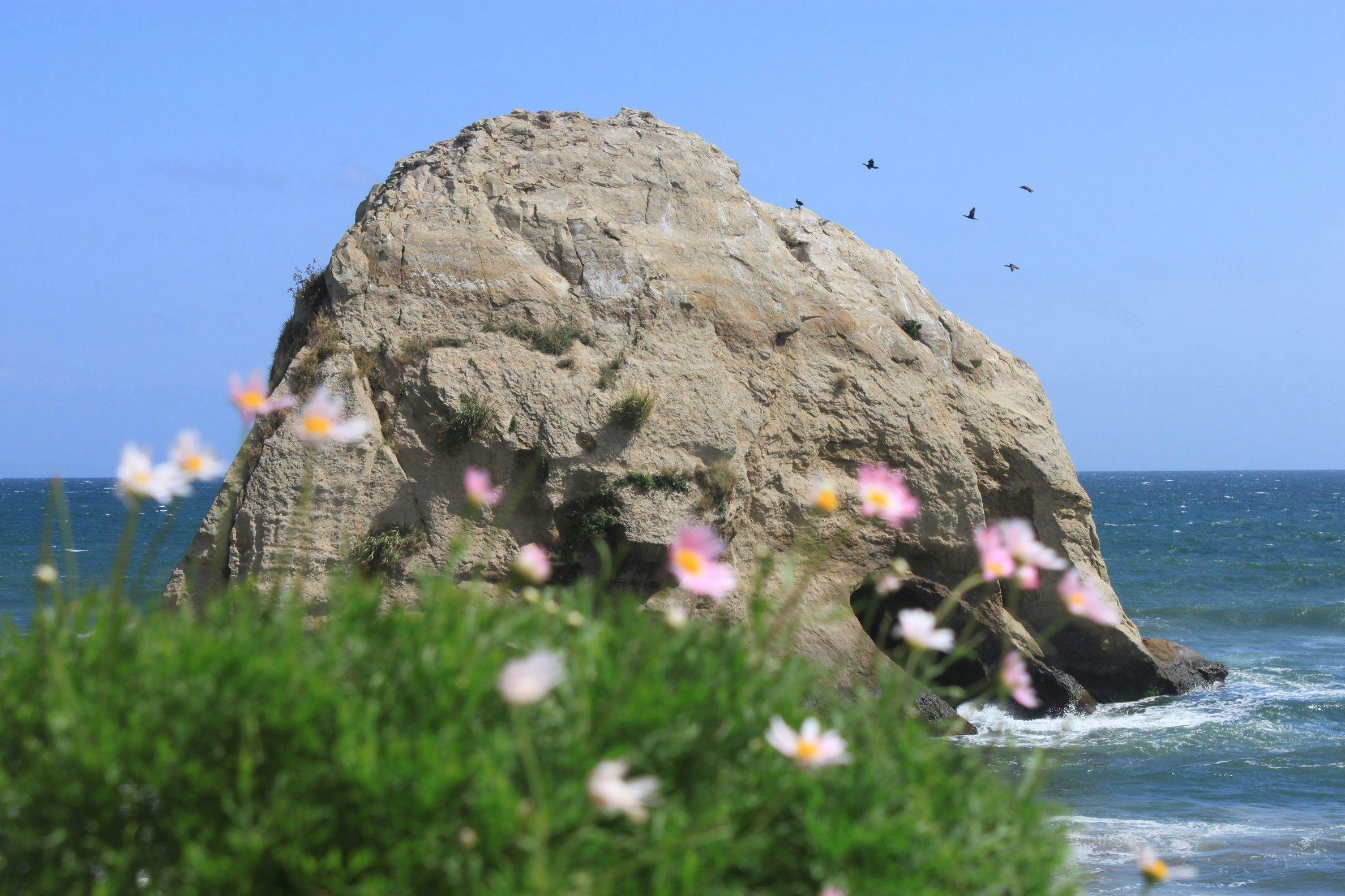 Isohara Seaside Hotel