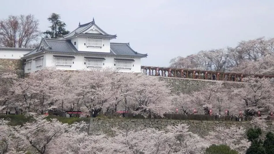 Tsuyama Central Hotel Townhouse