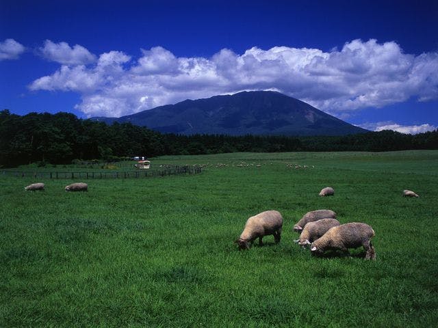 Kyukamura Iwate Amihari Onsen