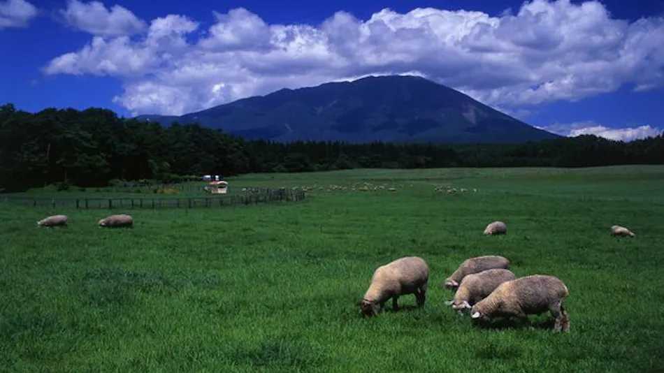 Kyukamura Iwate Amihari Onsen