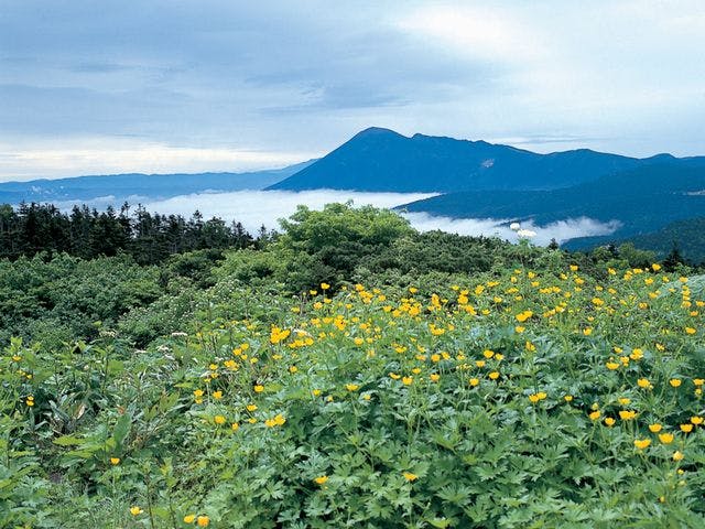 Kyukamura Iwate Amihari Onsen