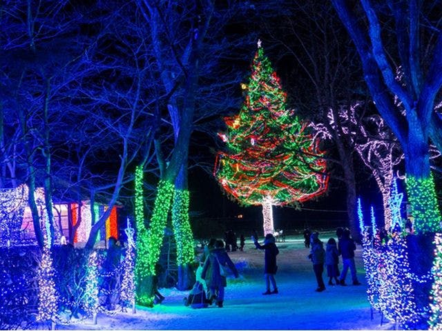 ค่ำคืนแห่งฟาร์มกาแล็กซี่ 2022 - การประดับไฟ