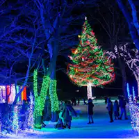 ค่ำคืนแห่งฟาร์มกาแล็กซี่ 2022 - การประดับไฟ