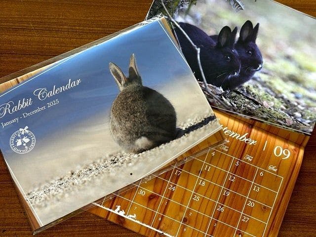 ปฏิทินแขวนผนังปี 2025